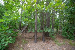 property photo for Eagles Nest Ranch Tract 63, 5.05 acres for sale in Pushmataha County, Oklahoma
