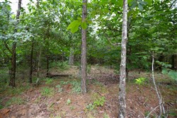 property photo for Eagles Nest Ranch Tract 64, 8.18 acres for sale in Pushmataha County, Oklahoma