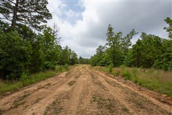 property photo for Eagles Nest Ranch Tract 64, 8.18 acres for sale in Pushmataha County, Oklahoma