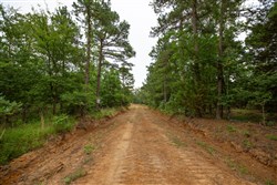 Eagles Nest Ranch Tract 65