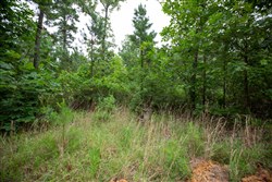 Eagles Nest Ranch Tract 65