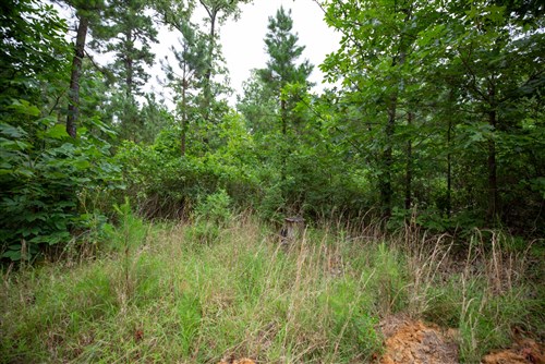 Eagles Nest Ranch Tract 65