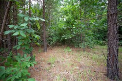 Eagles Nest Ranch Tract 65