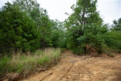 Eagles Nest Ranch Tract 65