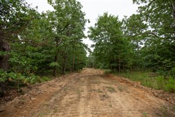 property photo for Eagles Nest Ranch Tract 66, 8.78 acres for sale in Pushmataha County, Oklahoma