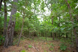 property photo for Eagles Nest Ranch Tract 66, 8.78 acres for sale in Pushmataha County, Oklahoma