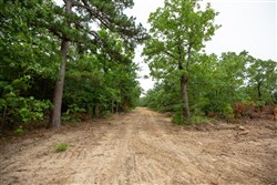 property photo for Eagles Nest Ranch Tract 67, 14.63 acres for sale in Pushmataha County, Oklahoma