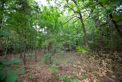 property photo for Eagles Nest Ranch Tract 67, 14.63 acres for sale in Pushmataha County, Oklahoma