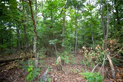 property photo for Eagles Nest Ranch Tract 67, 14.63 acres for sale in Pushmataha County, Oklahoma