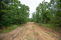 property photo for Eagles Nest Ranch Tract 67, 14.63 acres for sale in Pushmataha County, Oklahoma
