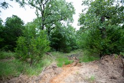 property photo for Eagles Nest Ranch Tract 68, 33.25 acres for sale in Pushmataha County, Oklahoma