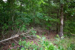 property photo for Eagles Nest Ranch Tract 68, 33.25 acres for sale in Pushmataha County, Oklahoma