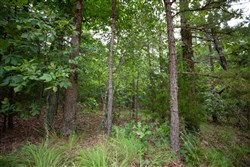 property photo for Eagles Nest Ranch Tract 69, 30.67 acres for sale in Pushmataha County, Oklahoma