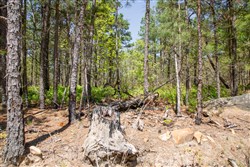 property photo for Eagles Nest Ranch Tract 7, 5.32 acres for sale in Pushmataha County, Oklahoma
