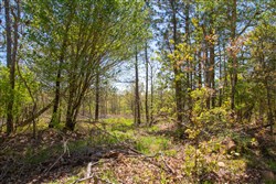 property photo for Eagles Nest Ranch Tract 7, 5.32 acres for sale in Pushmataha County, Oklahoma