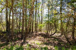 property photo for Eagles Nest Ranch Tract 7, 5.32 acres for sale in Pushmataha County, Oklahoma