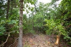 property photo for Eagles Nest Ranch Tract 70, 8.29 acres for sale in Pushmataha County, Oklahoma