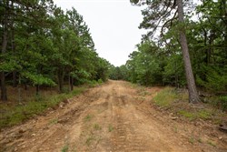 property photo for Eagles Nest Ranch Tract 71, 6.01 acres for sale in Pushmataha County, Oklahoma