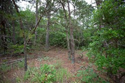 property photo for Eagles Nest Ranch Tract 71, 6.01 acres for sale in Pushmataha County, Oklahoma