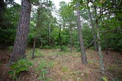 property photo for Eagles Nest Ranch Tract 71, 6.01 acres for sale in Pushmataha County, Oklahoma