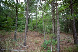 property photo for Eagles Nest Ranch Tract 71, 6.01 acres for sale in Pushmataha County, Oklahoma