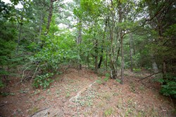 property photo for Eagles Nest Ranch Tract 71, 6.01 acres for sale in Pushmataha County, Oklahoma