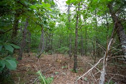 property photo for Eagles Nest Ranch Tract 72, 5.89 acres for sale in Pushmataha County, Oklahoma