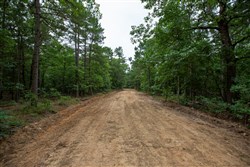 property photo for Eagles Nest Ranch Tract 72, 5.89 acres for sale in Pushmataha County, Oklahoma