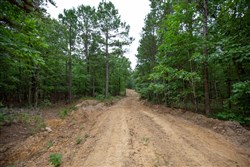 property photo for Eagles Nest Ranch Tract 73, 5.38 acres for sale in Pushmataha County, Oklahoma