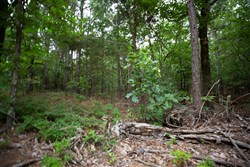 property photo for Eagles Nest Ranch Tract 73, 5.38 acres for sale in Pushmataha County, Oklahoma