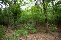 property photo for Eagles Nest Ranch Tract 73, 5.38 acres for sale in Pushmataha County, Oklahoma