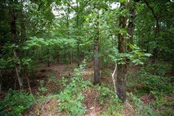 property photo for Eagles Nest Ranch Tract 74, 13.87 acres for sale in Pushmataha County, Oklahoma