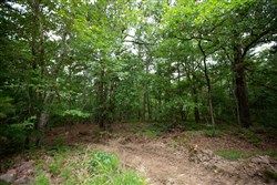 property photo for Eagles Nest Ranch Tract 74, 13.87 acres for sale in Pushmataha County, Oklahoma