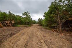 property photo for Eagles Nest Ranch Tract 74, 13.87 acres for sale in Pushmataha County, Oklahoma