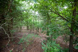 property photo for Eagles Nest Ranch Tract 75, 14.41 acres for sale in Pushmataha County, Oklahoma