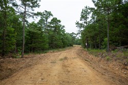 property photo for Eagles Nest Ranch Tract 75, 14.41 acres for sale in Pushmataha County, Oklahoma