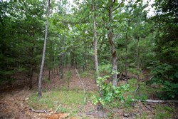 property photo for Eagles Nest Ranch Tract 75, 14.41 acres for sale in Pushmataha County, Oklahoma