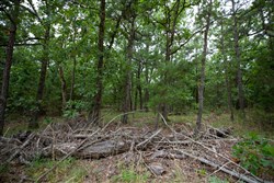 property photo for Eagles Nest Ranch Tract 75, 14.41 acres for sale in Pushmataha County, Oklahoma