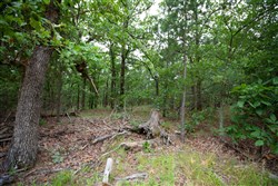 property photo for Eagles Nest Ranch Tract 75, 14.41 acres for sale in Pushmataha County, Oklahoma