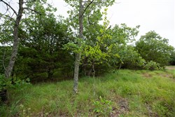 property photo for Eagles Nest Ranch Tract 76, 8.25 acres for sale in Pushmataha County, Oklahoma