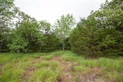 property photo for Eagles Nest Ranch Tract 76, 8.25 acres for sale in Pushmataha County, Oklahoma