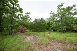 property photo for Eagles Nest Ranch Tract 76, 8.25 acres for sale in Pushmataha County, Oklahoma