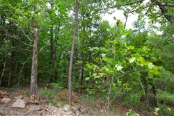 property photo for Eagles Nest Ranch Tract 77, 7.09 acres for sale in Pushmataha County, Oklahoma
