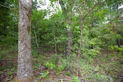 property photo for Eagles Nest Ranch Tract 77, 7.09 acres for sale in Pushmataha County, Oklahoma