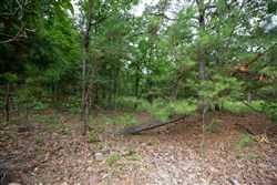 property photo for Eagles Nest Ranch Tract 77, 7.09 acres for sale in Pushmataha County, Oklahoma