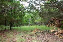 property photo for Eagles Nest Ranch Tract 77, 7.09 acres for sale in Pushmataha County, Oklahoma