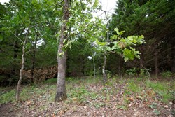property photo for Eagles Nest Ranch Tract 78, 6.54 acres for sale in Pushmataha County, Oklahoma