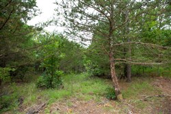 property photo for Eagles Nest Ranch Tract 78, 6.54 acres for sale in Pushmataha County, Oklahoma