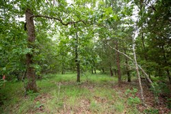 property photo for Eagles Nest Ranch Tract 79, 6.68 acres for sale in Pushmataha County, Oklahoma
