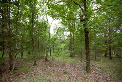property photo for Eagles Nest Ranch Tract 79, 6.68 acres for sale in Pushmataha County, Oklahoma